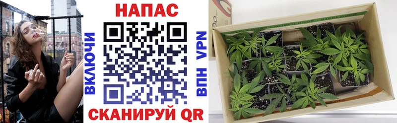 Цена Почеп Гашиш МАРИХУАНА А ПВП Меф мяу мяу COCAIN